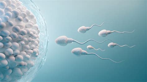 omega 3 sperm|omega 3 and male fertility.